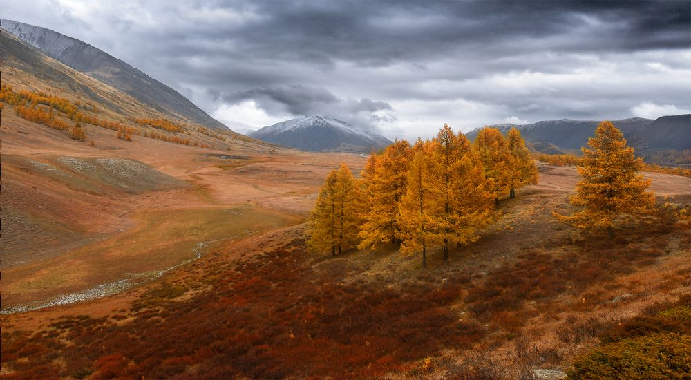 Photograph by Светлана Крат