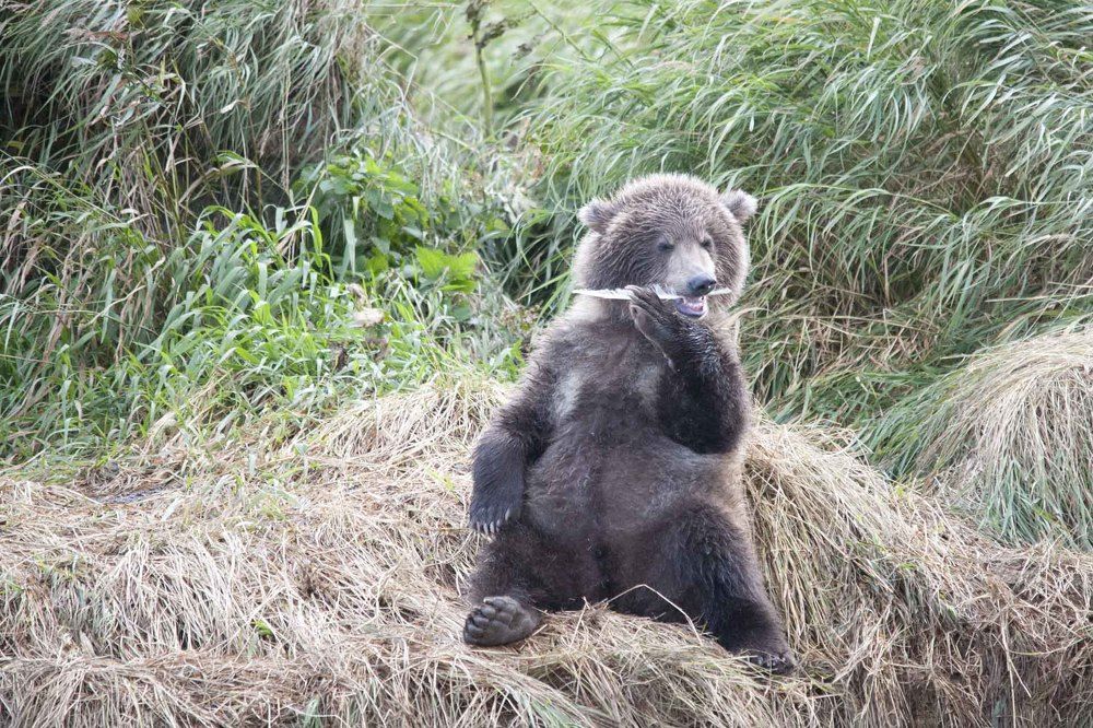 Photograph by Алексей Шаскольский