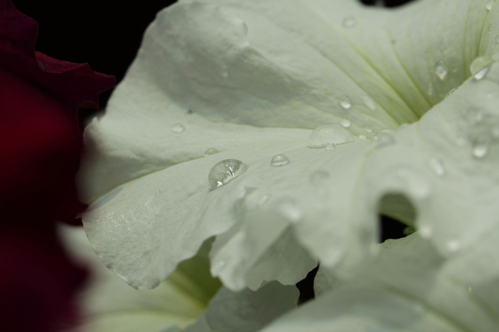 Photograph by Anton Shumanskiy