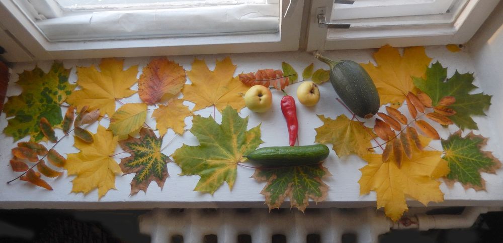 Фотография автора Клавдия Васильева