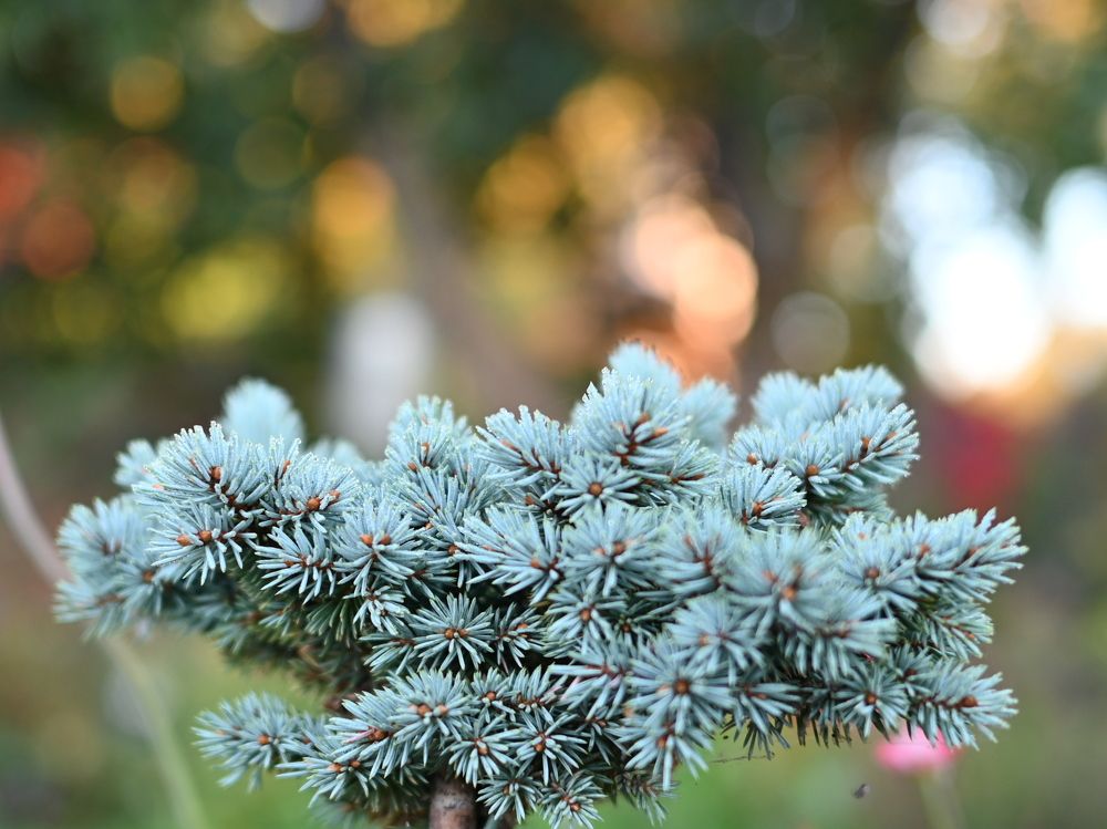 Photograph by Пётр Артемьев