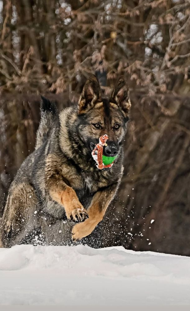 Photograph by Милана Бабченко