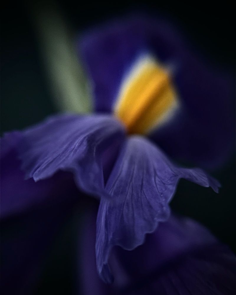 Фотография автора Ирина Мосько