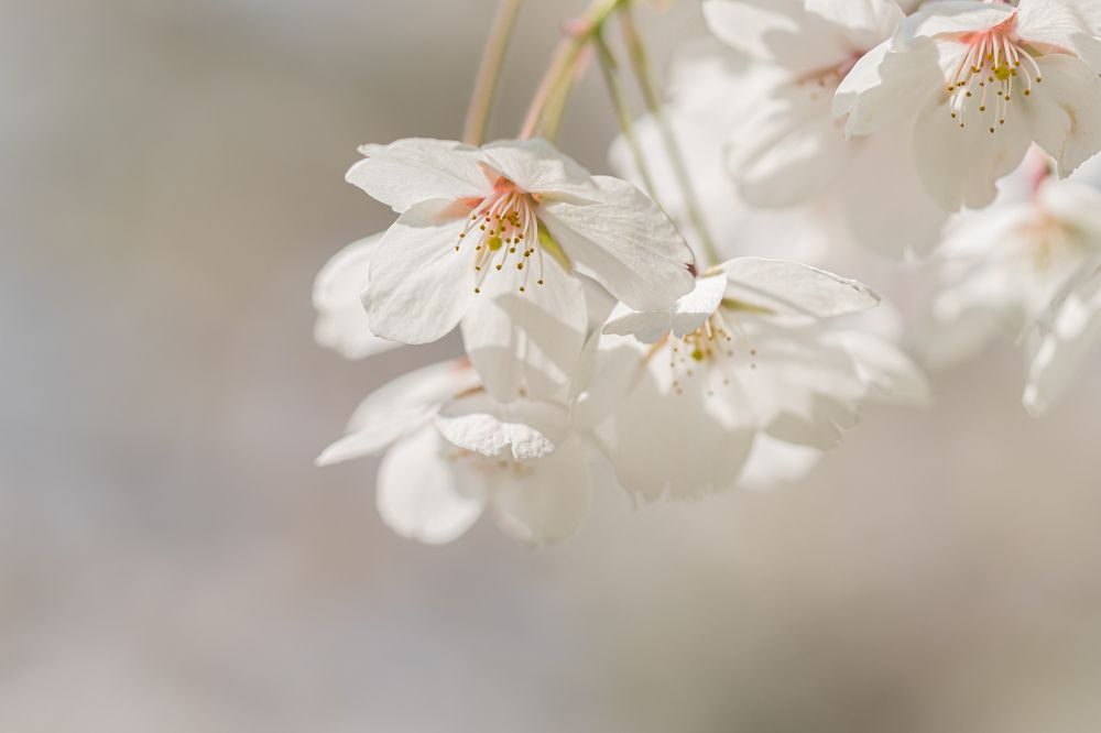 Photograph by Valdis Serzhans