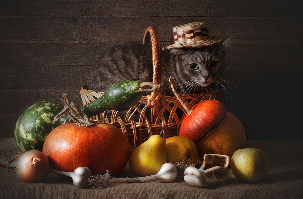 Photograph by MVO (Марк Орлов)