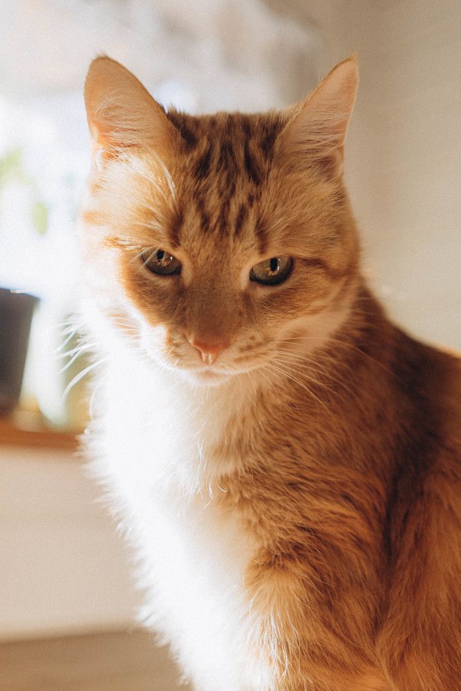 Photograph by Наталья Абрамова