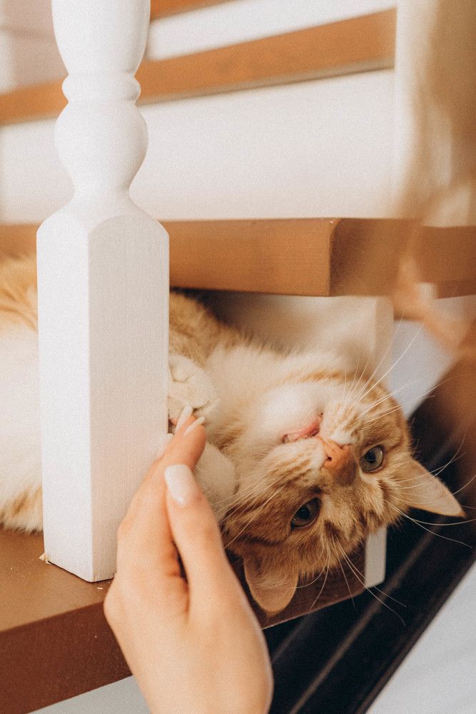 Photograph by Наталья Абрамова