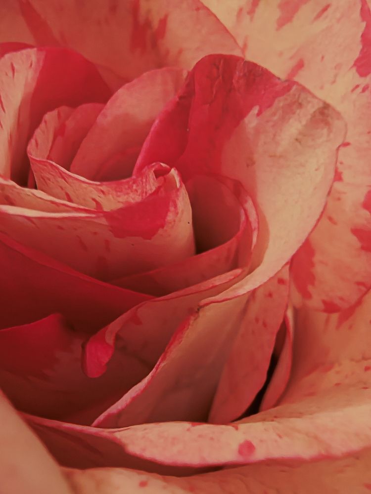 Photograph by Наталья Веряскина