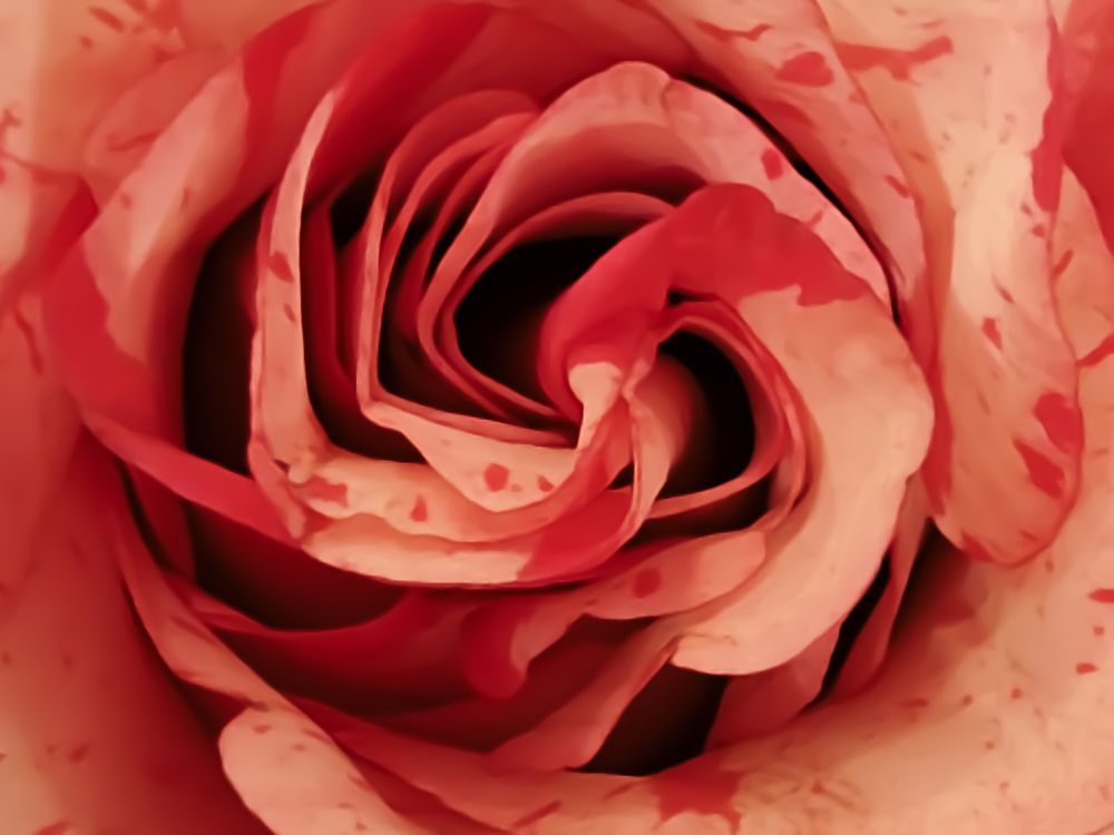 Photograph by Наталья Веряскина