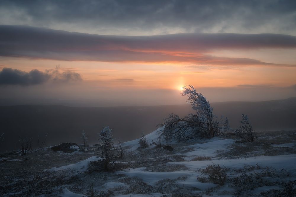 Photograph by Толстоноженко Илья