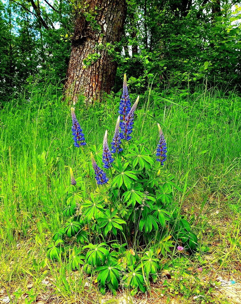 Photograph by Ольга Юрченко