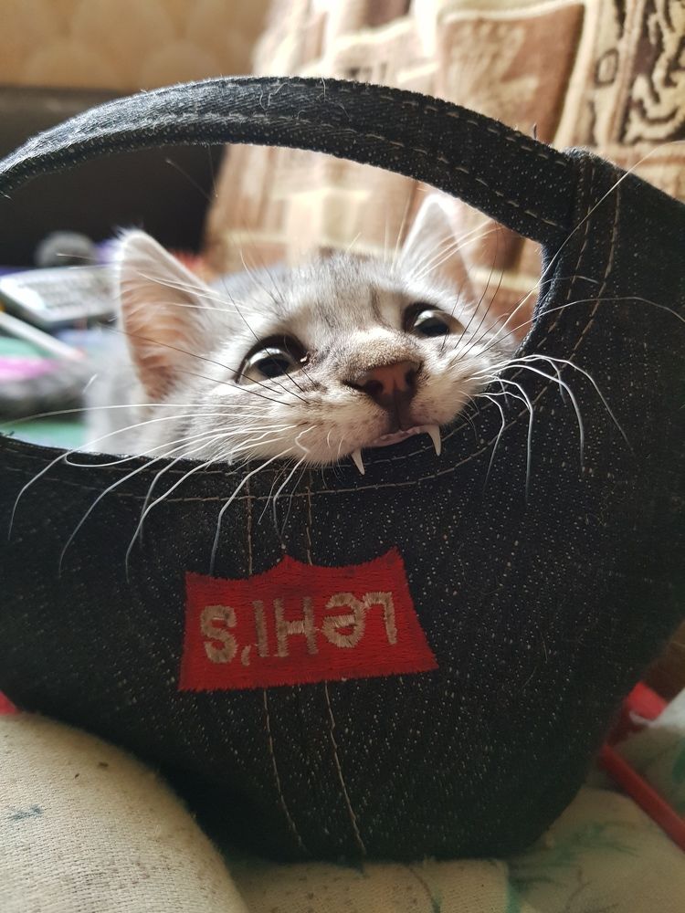 Кепка.