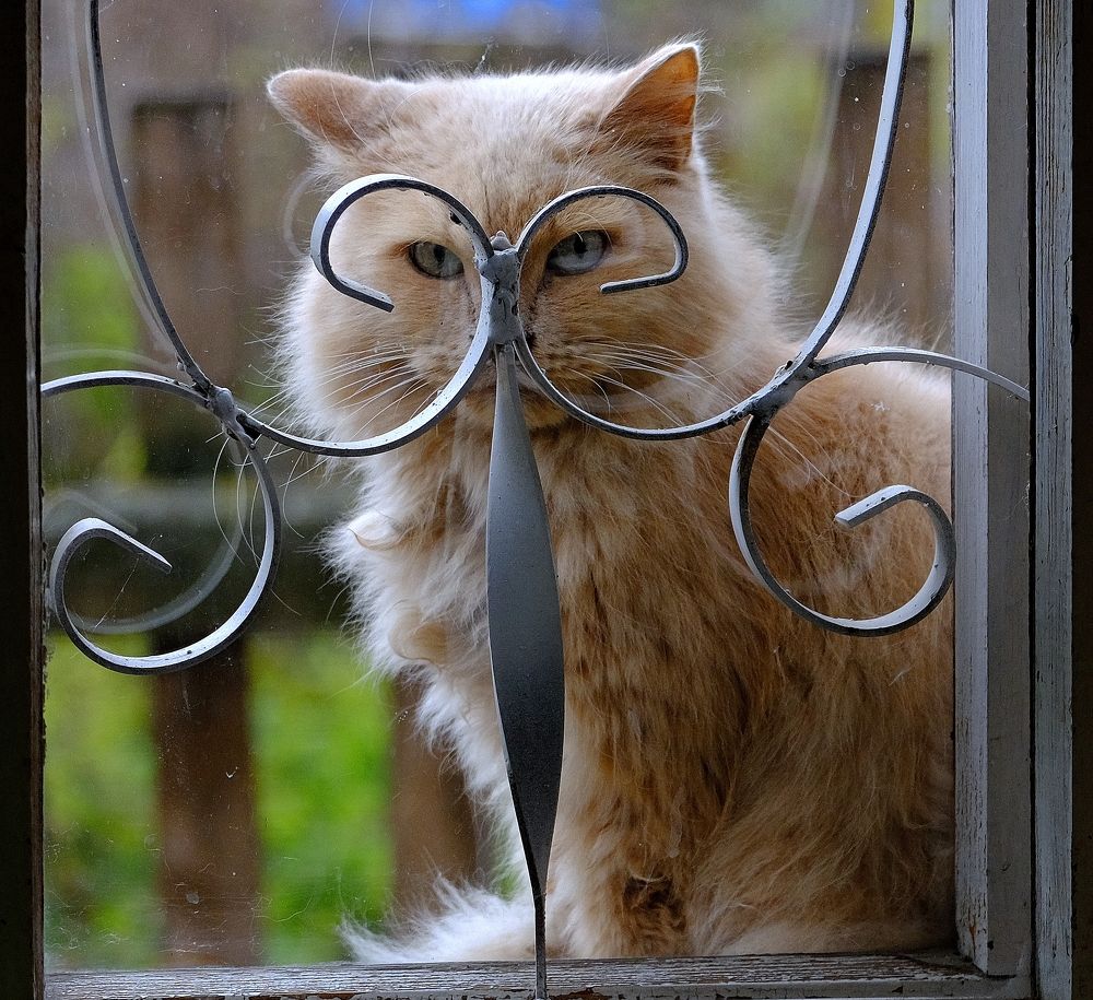 Photograph by Светлана Юрьевна Елагина