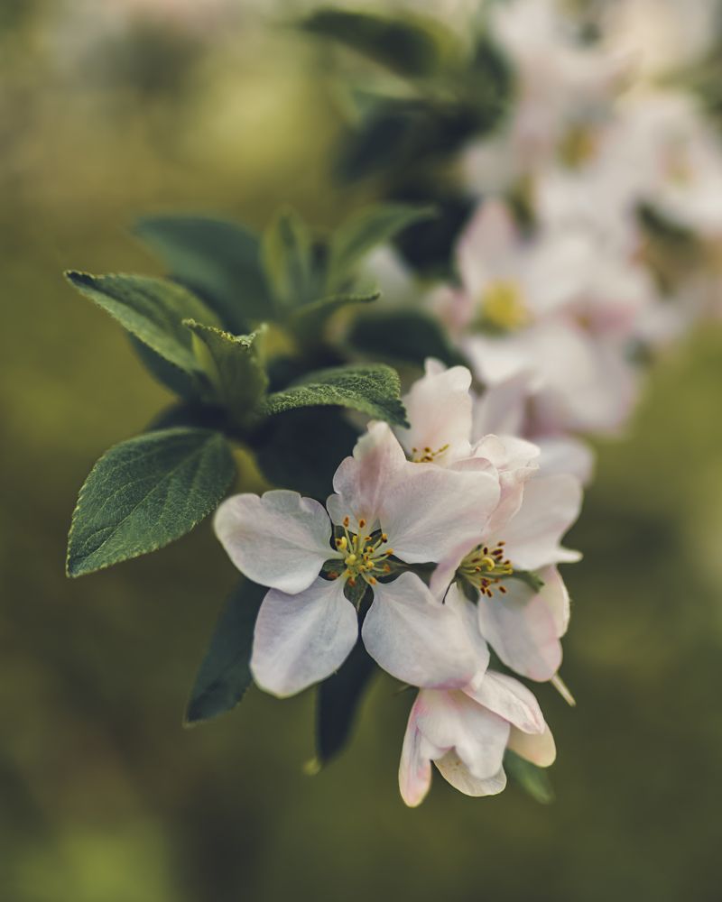 Photograph by Лексин Сергей