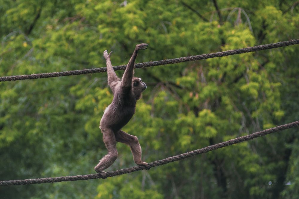 Photograph by Евгения Шулакова