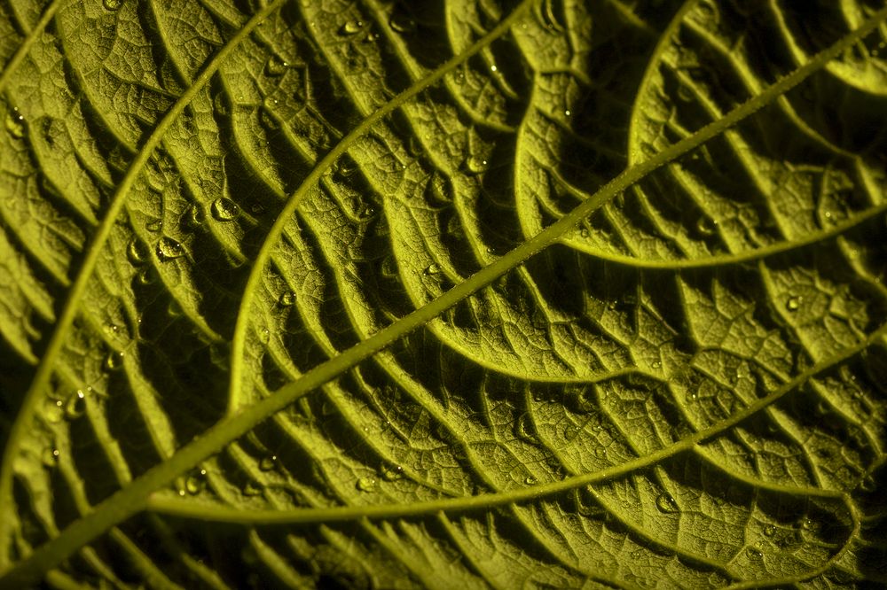 Photograph by Vedant Sharma