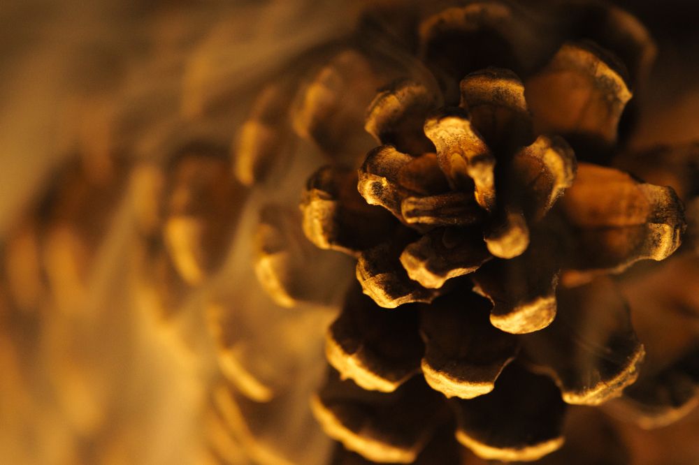 Photograph by Vedant Sharma