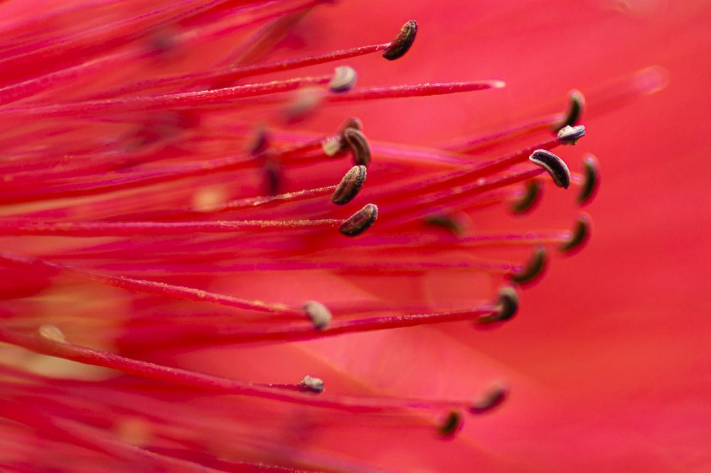 Photograph by Vedant Sharma