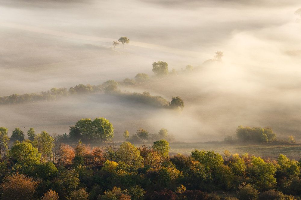 Photograph by Milan Chudoba