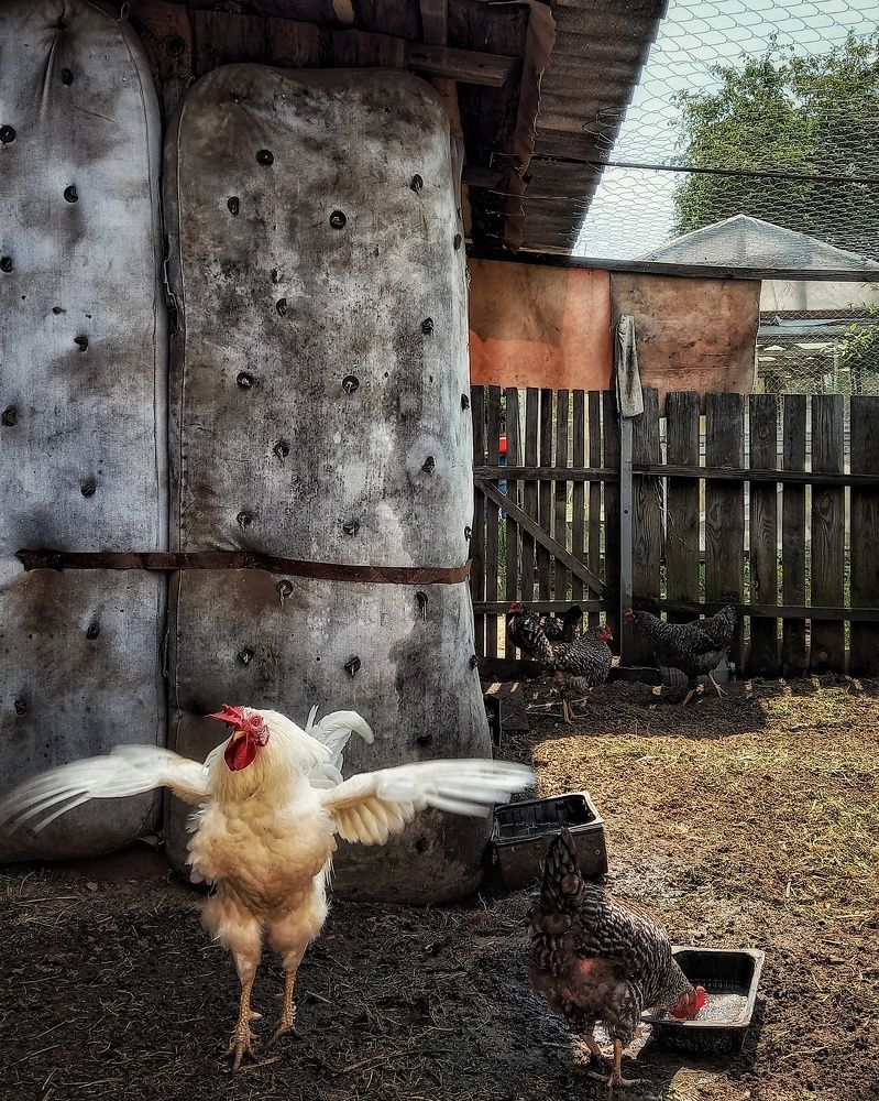 Photograph by Svetlana Yurasova