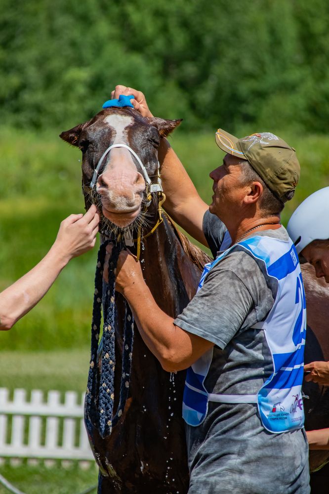 Photograph by Светлана