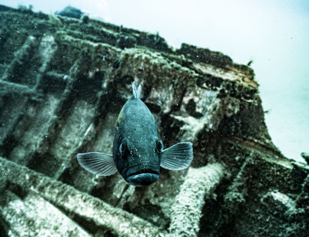 Photograph by Дмитрий Плотников