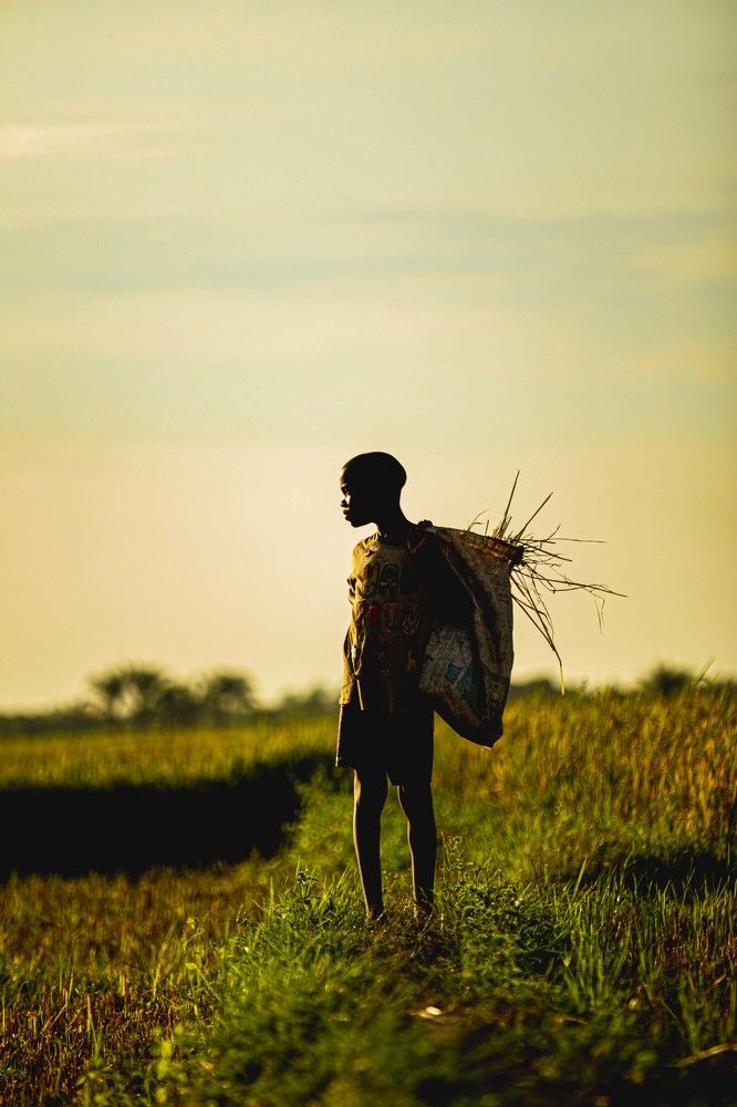 Photograph by Safari Consoler