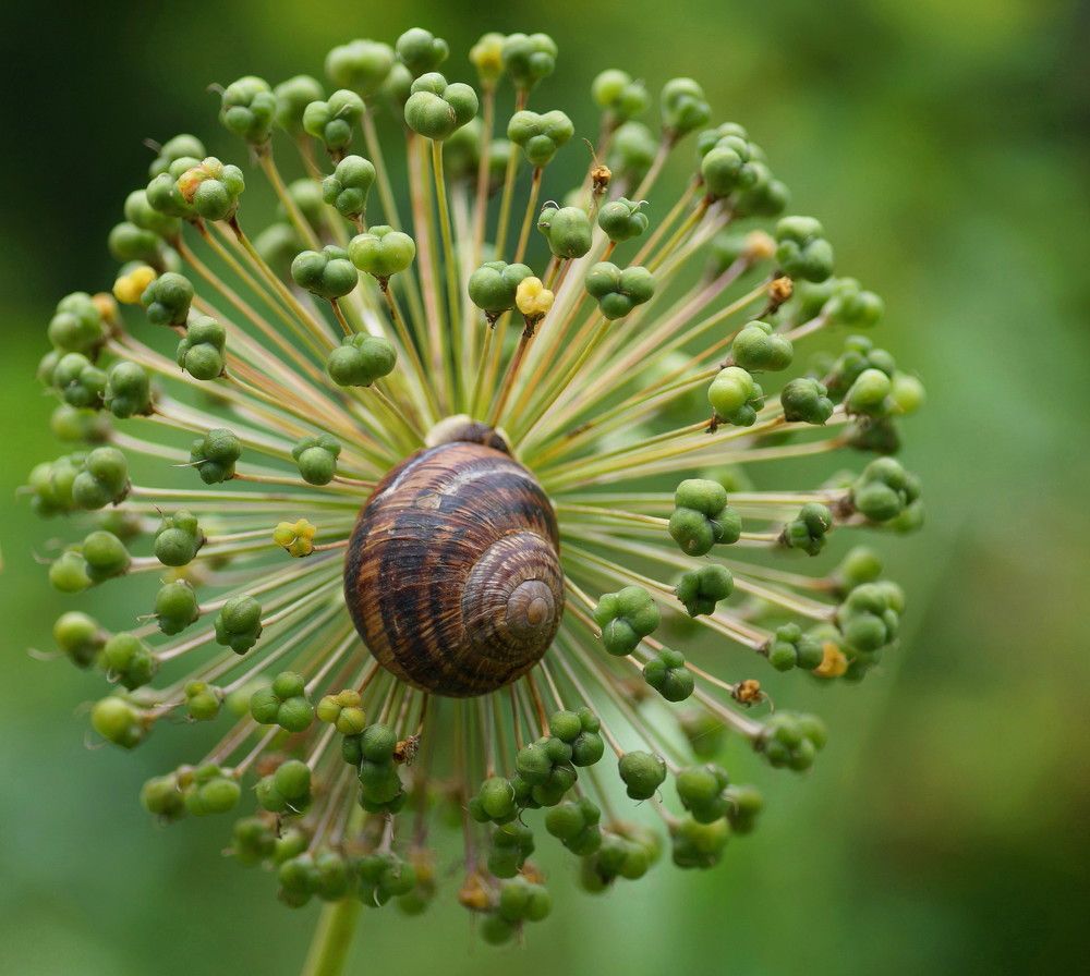 Photograph by Наталья Степаненко