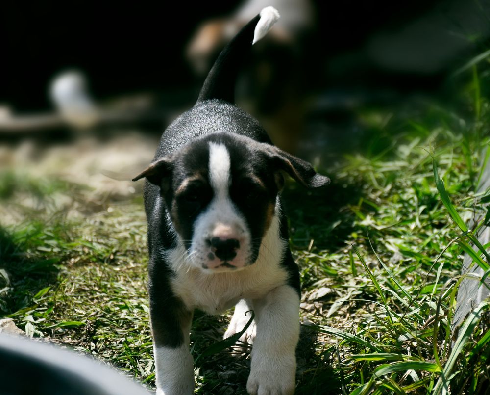 Photograph by Виктория Ткачева