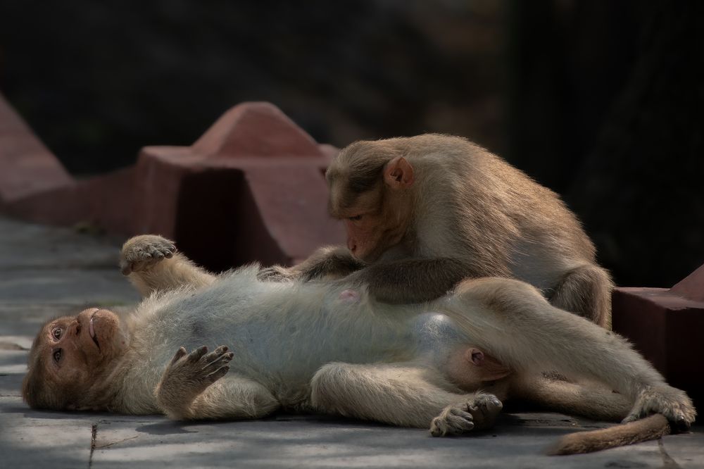 Photograph by Arnold judson Samuel