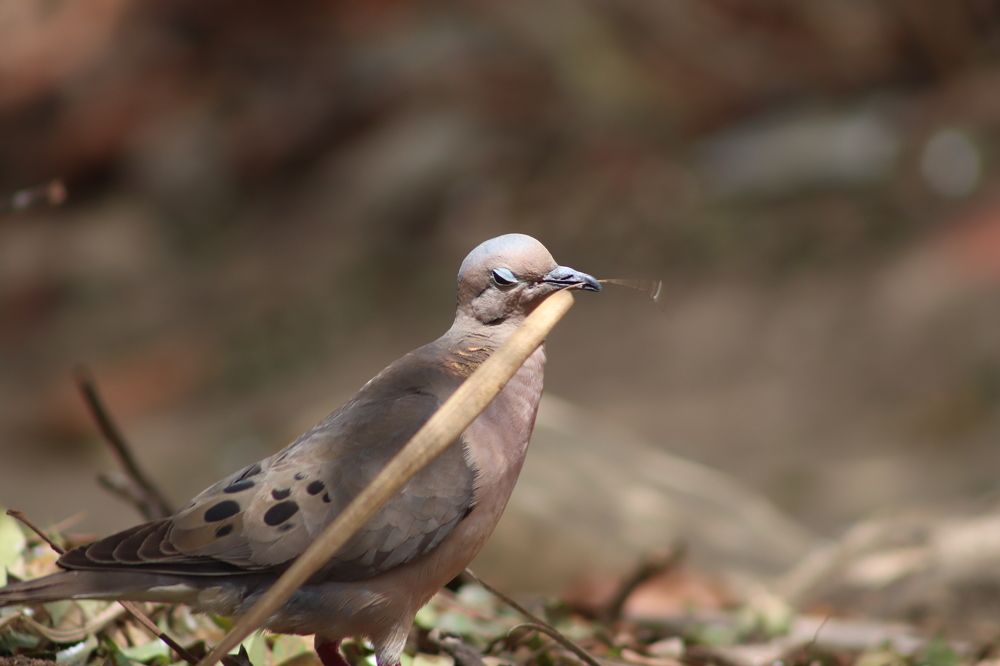 Photograph by Juliana