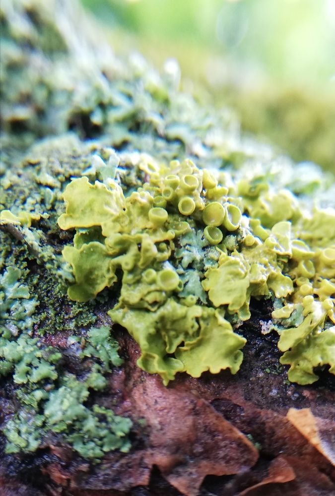 Photograph by Светлана Филимонова