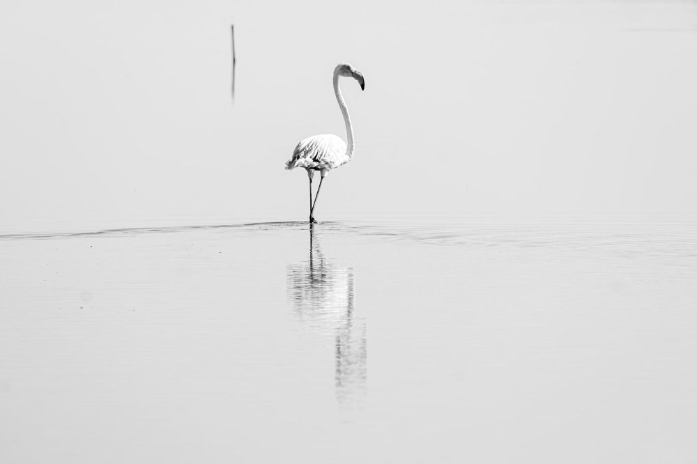 Photograph by Amelia Pardo