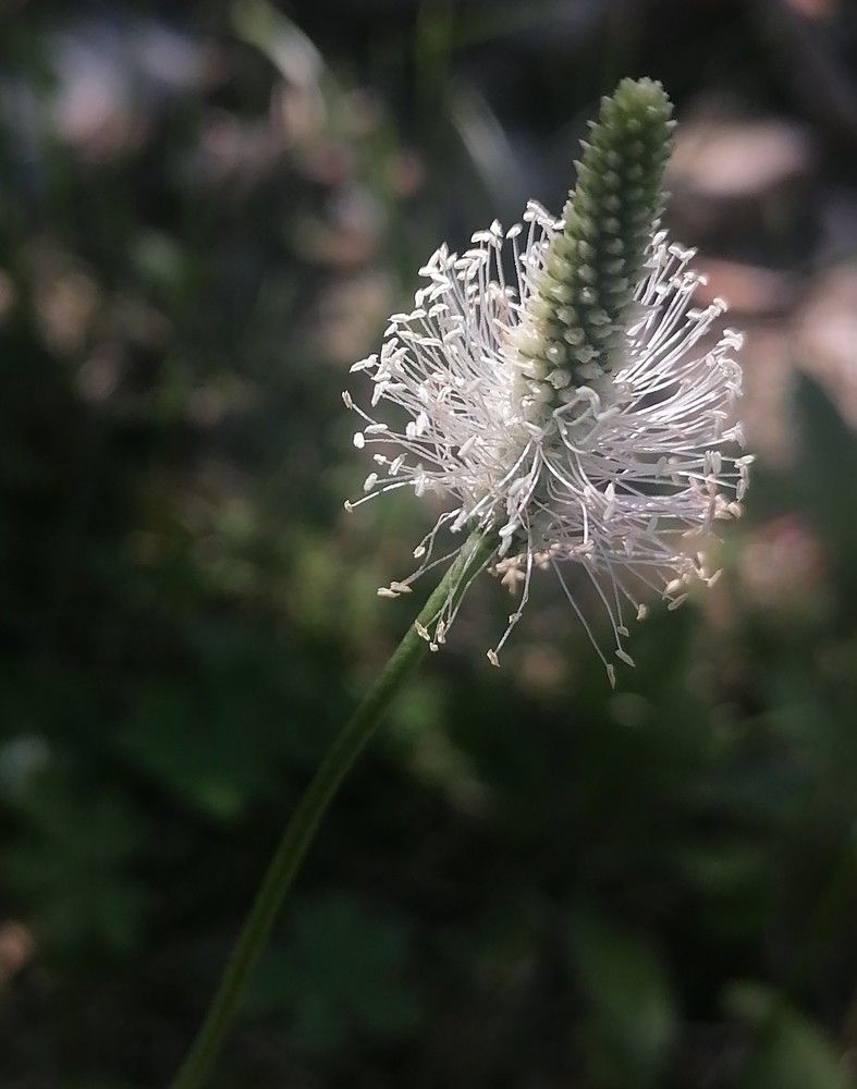 Photograph by Наталья Веряскина