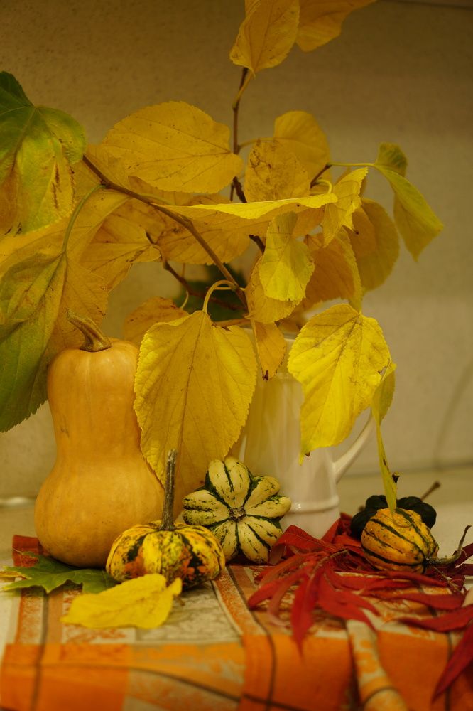 Photograph by Okcana Ryzhikh