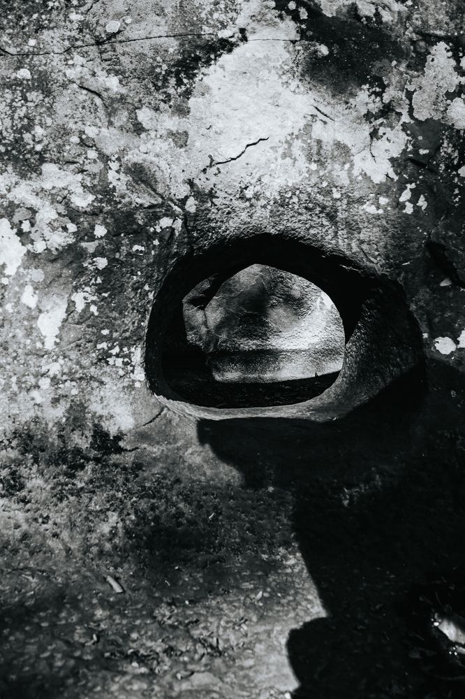 Photograph by Игорь Чечин