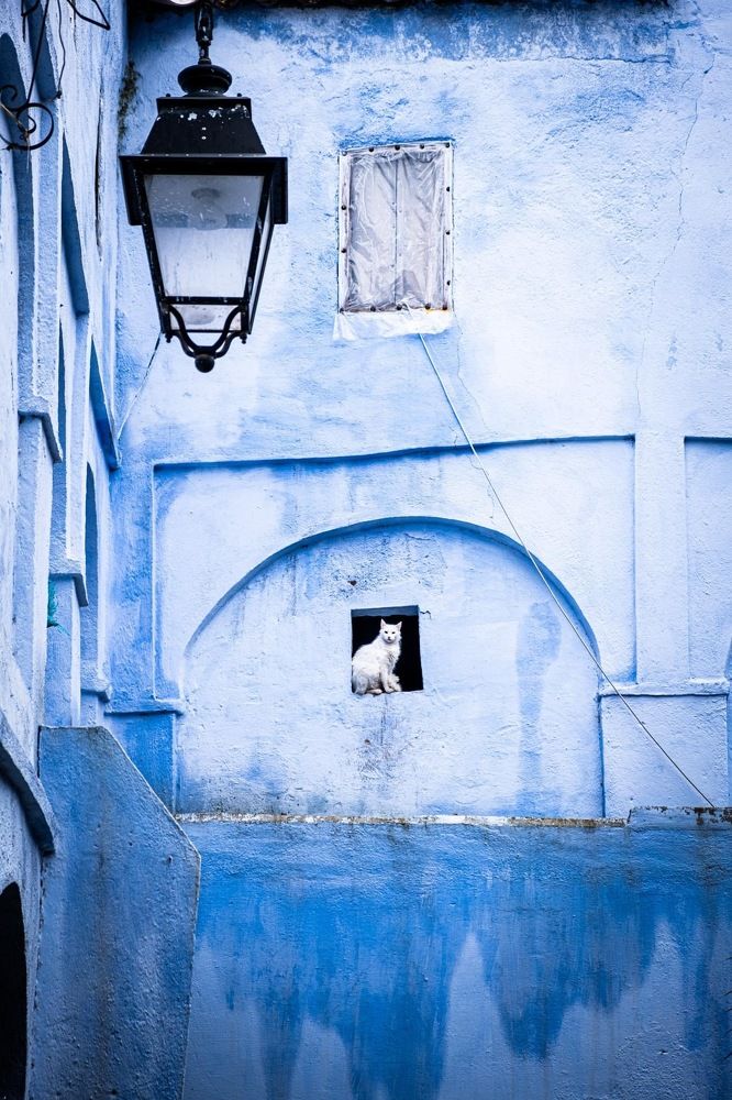 Photograph by Amelia Pardo