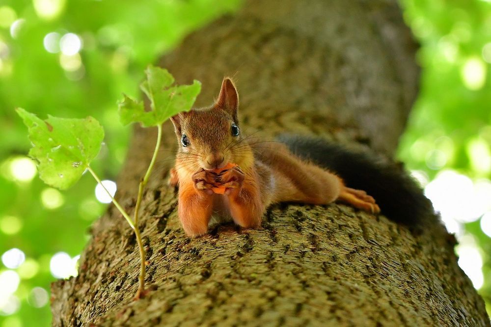 Photograph by Корнейчук Игорь