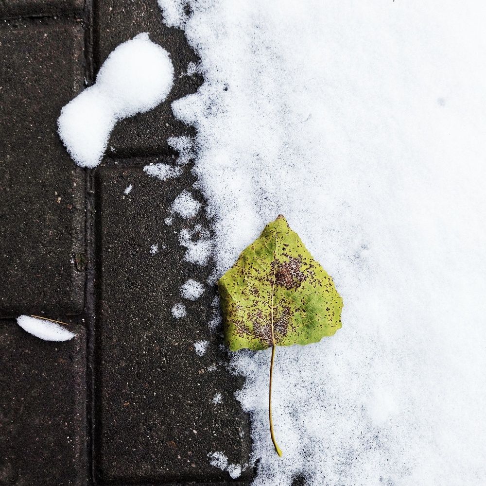 Photograph by Юлия Рытова