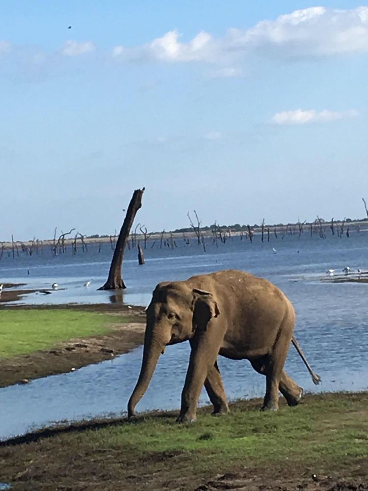 Фотография автора Slavica Gligorievska