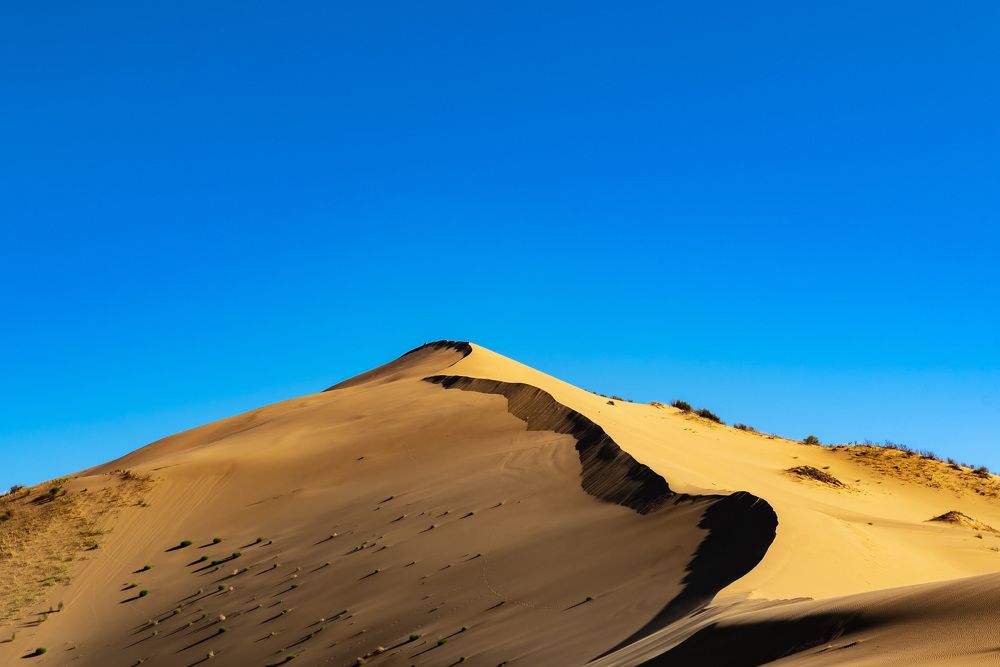 Photograph by Александр Щербаков