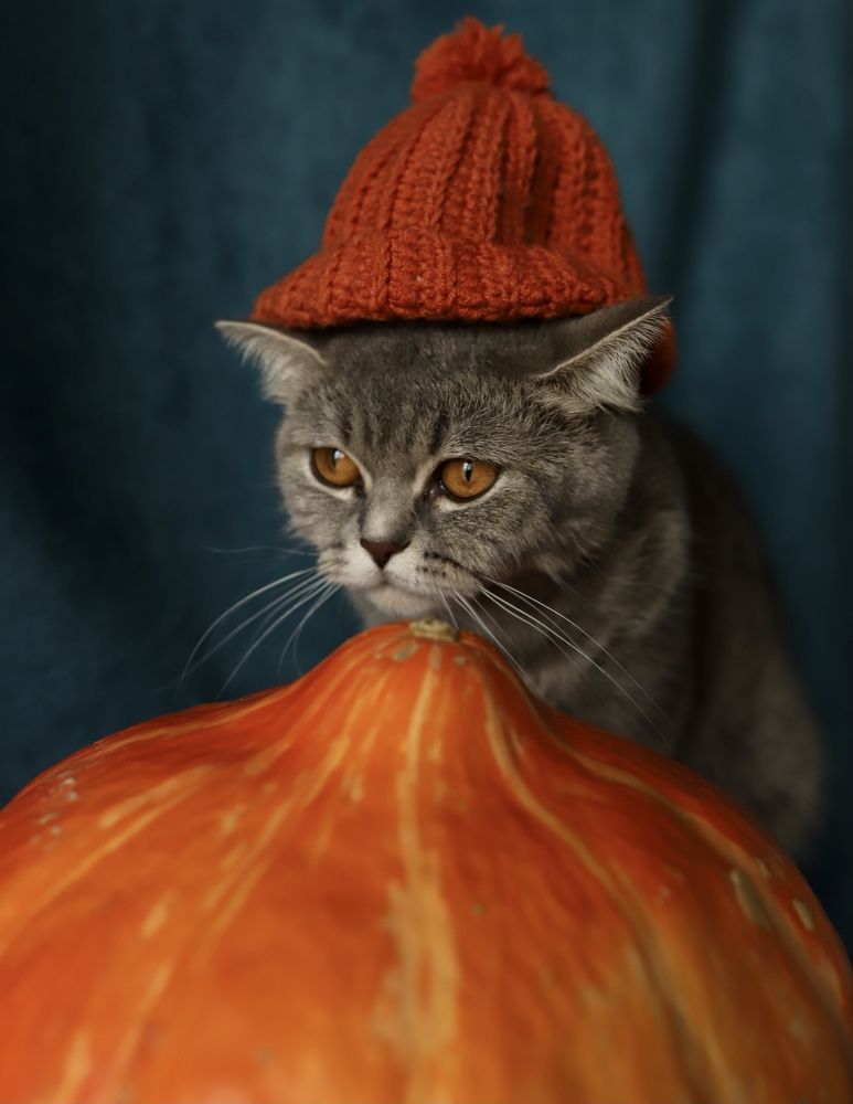 Photograph by Наталья Гусева