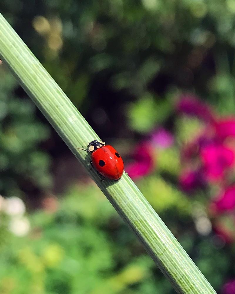 Photograph by Татьяна Волохова