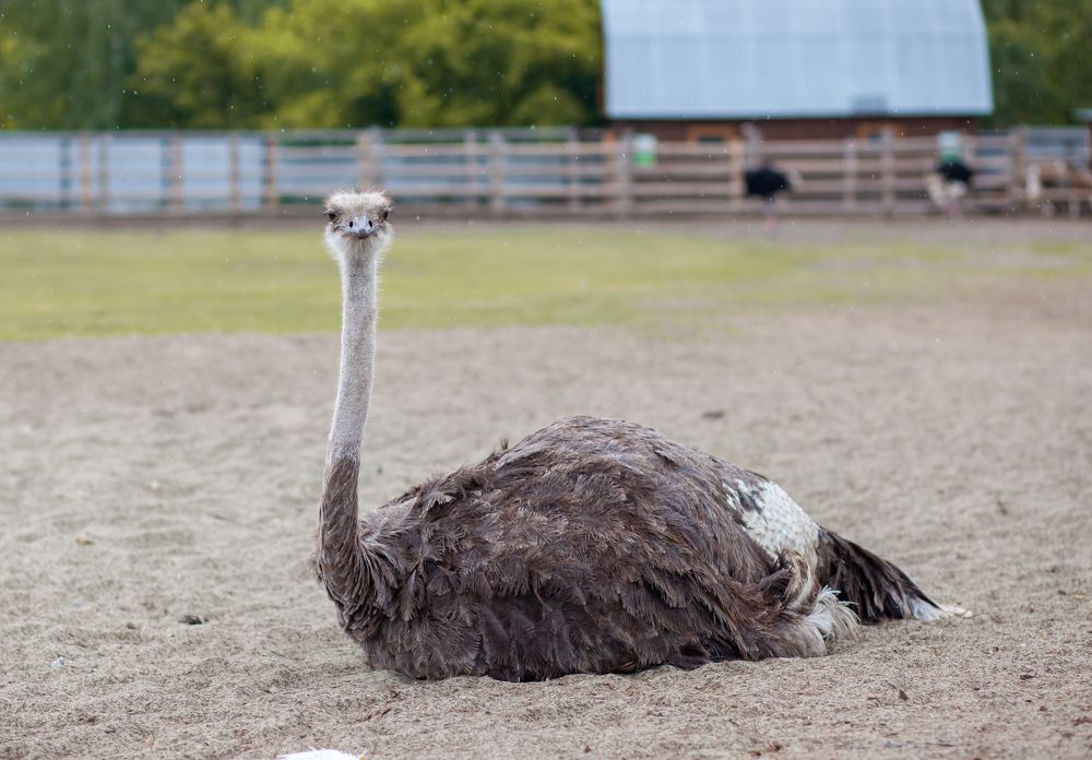 Photograph by Савицкий Анатолий