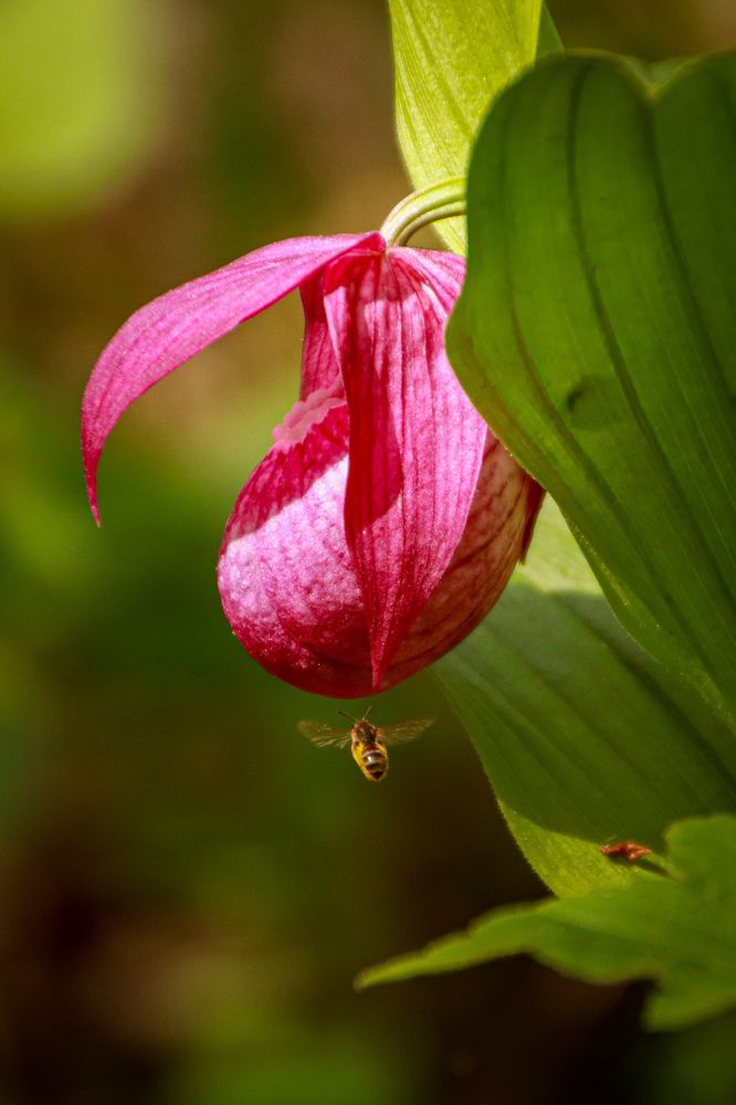 Photograph by Наталья Трифуз