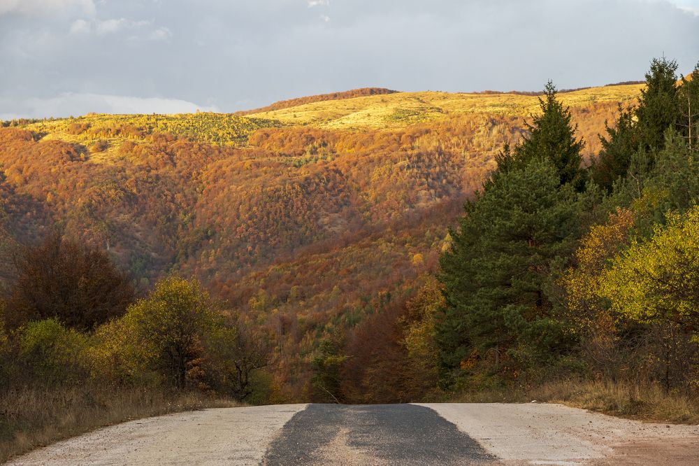 Photograph by Nikolay Dimitrov