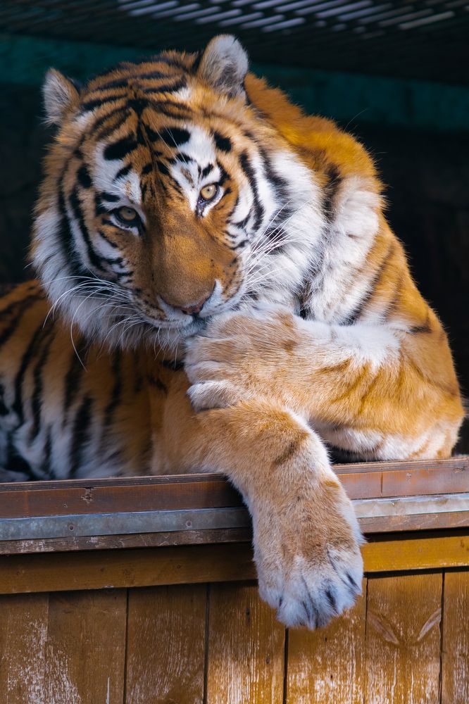 Photograph by Светлана