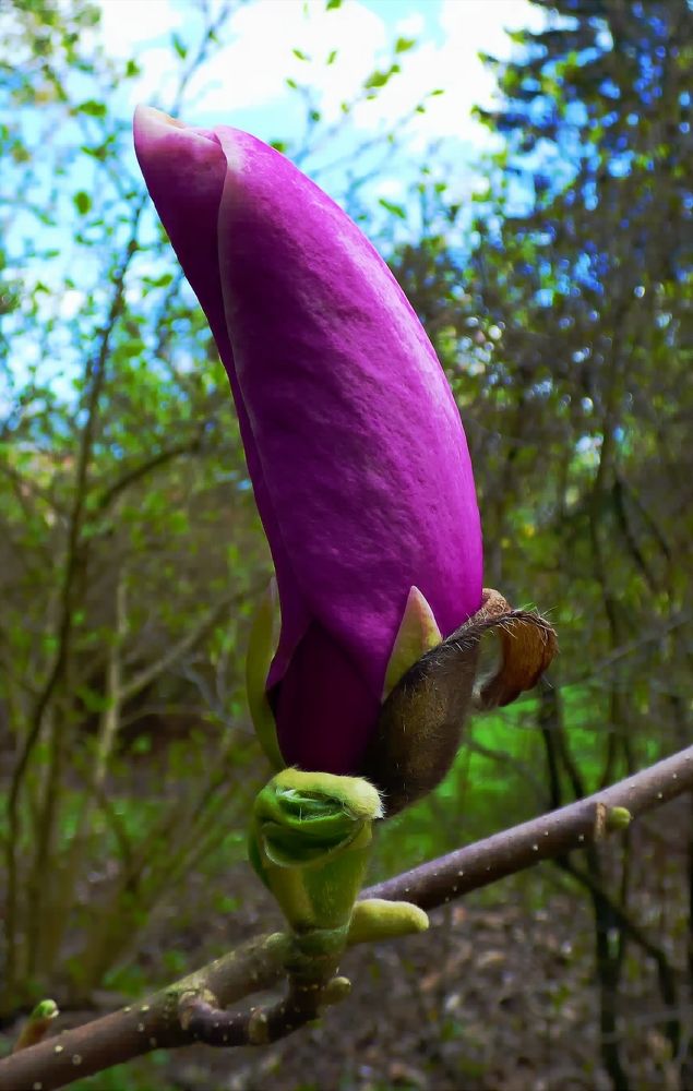 Photograph by Pjotr Alekseev