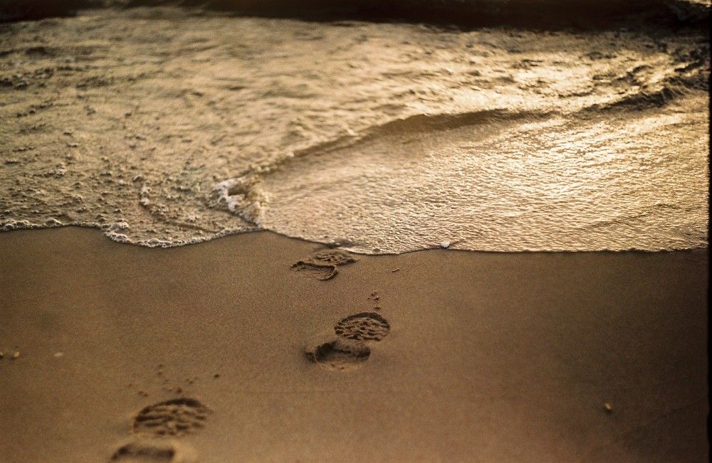 Photograph by Роза Хидиятова
