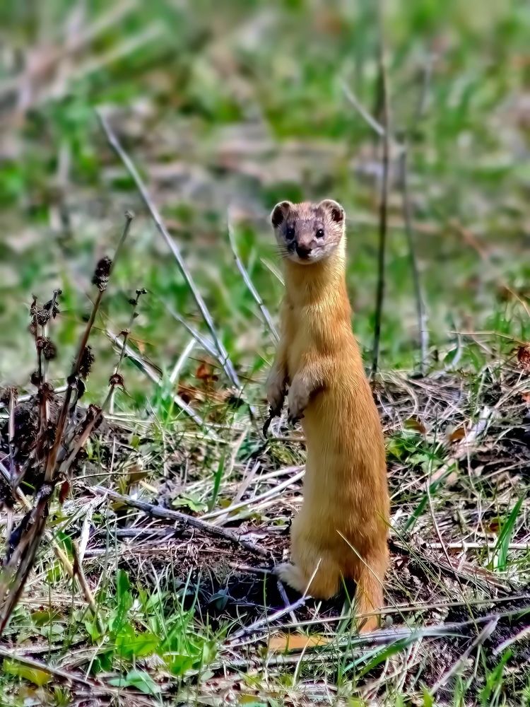 Photograph by Кузнецов Дмитрий